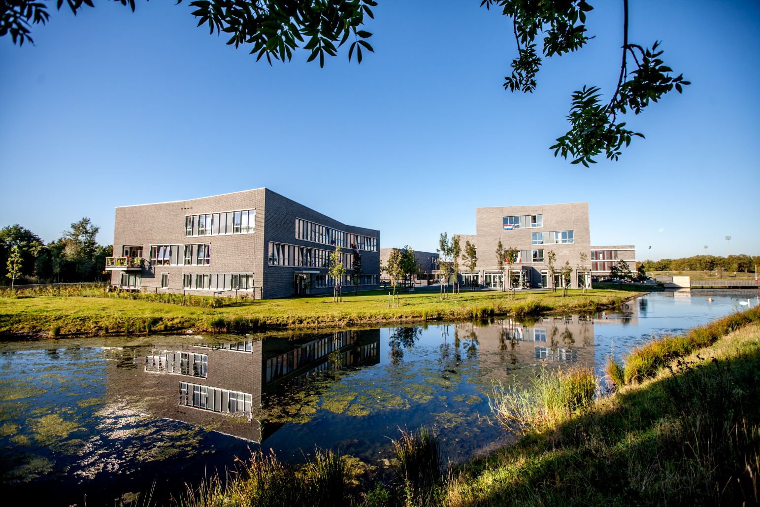 New schools and colleges