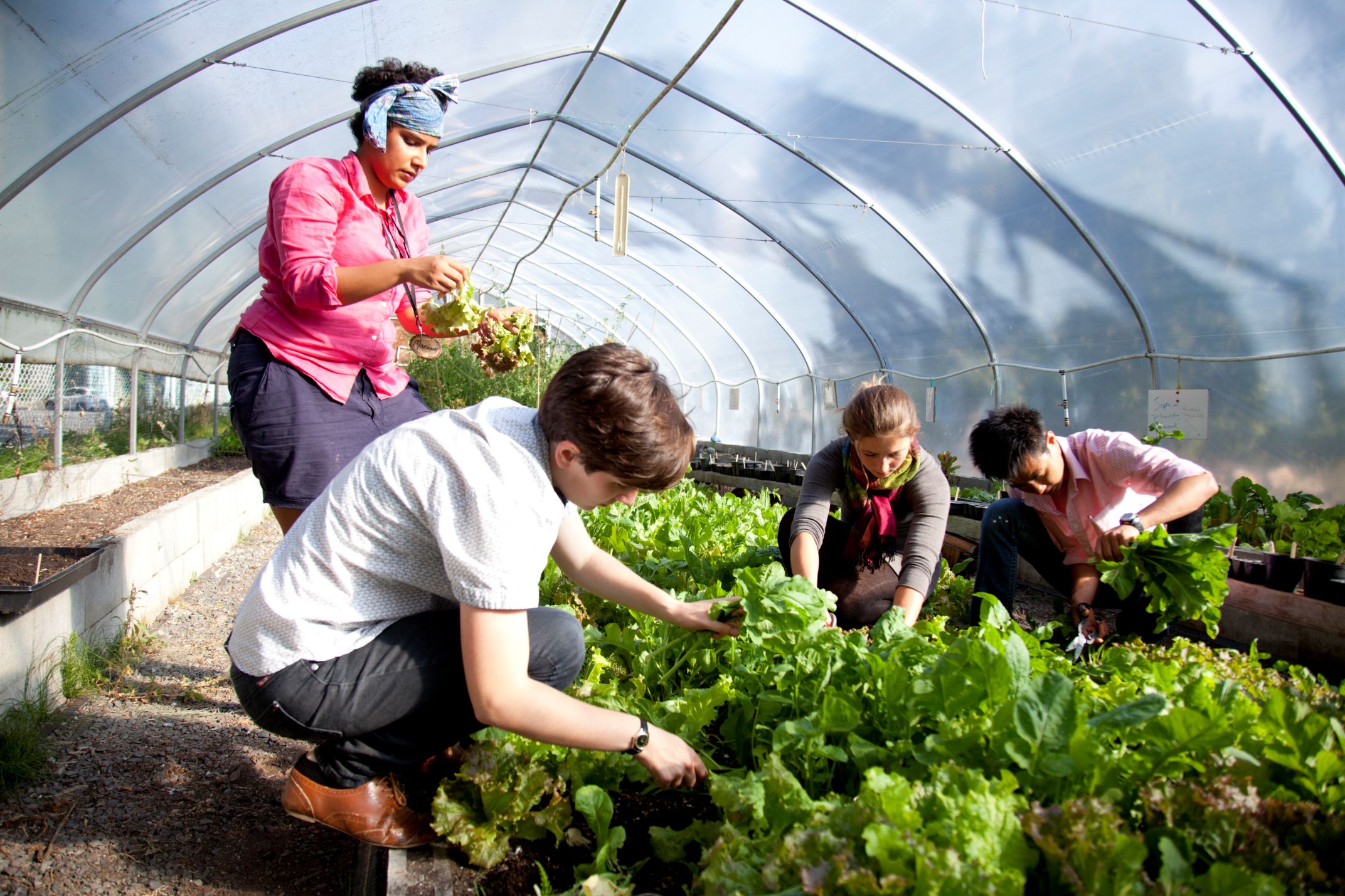 about Find out more about individual UWC schools' sustainability progress