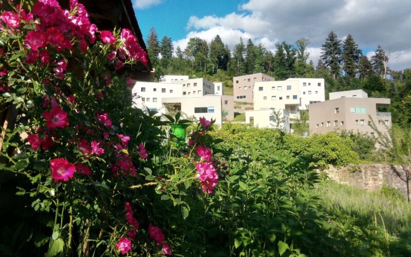 Robert Bosch College